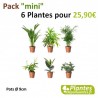 Plantes Dépolluantes - Pack [Mini] 6 Plantes