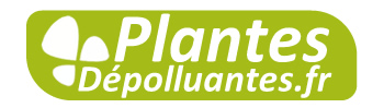 Plantes Dépolluantes.fr 